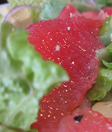 Grapefruit Romaine Red Onion Salad